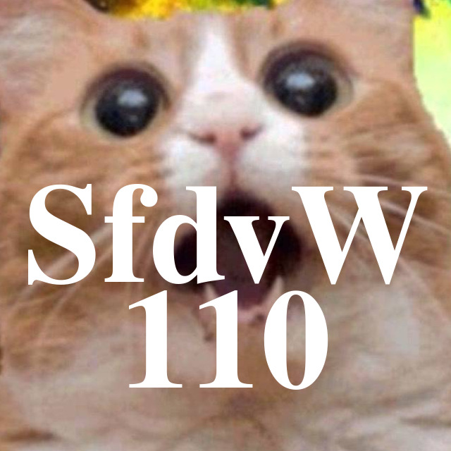 SfdvW - 110 - Freifunk episode artwork