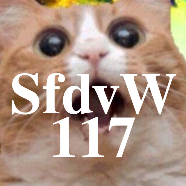 SfdvW - 117 - Junghacker im EBK episode artwork