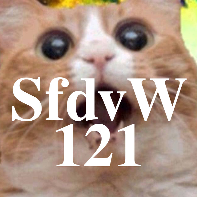 SfdvW - 121 - Kulturgut Videospiel im EBK mit Wolfgang episode artwork
