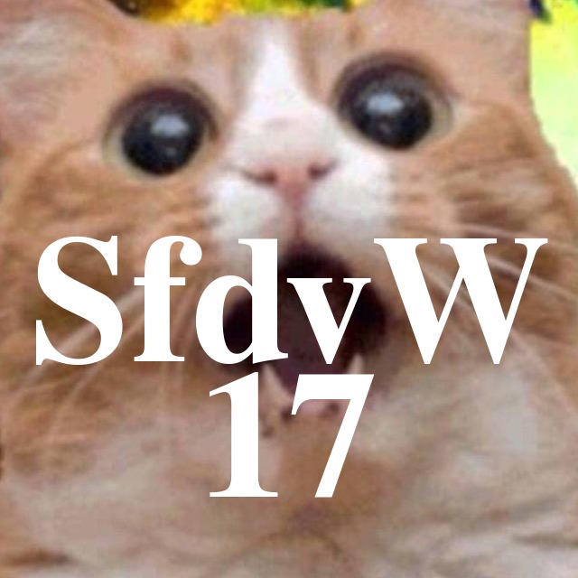 SfdvW - 17 - Sommersendung episode artwork