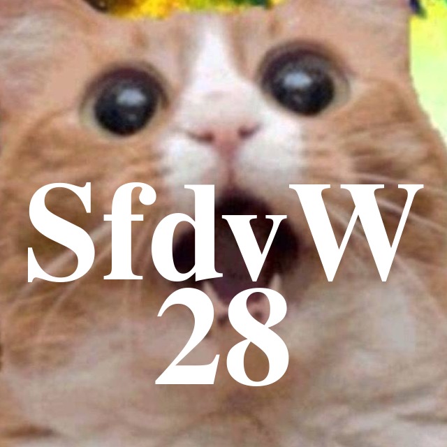 SfdvW - 28 - Radio Chaotica auf Querfunk Gulaschprogrammiernacht8 episode artwork