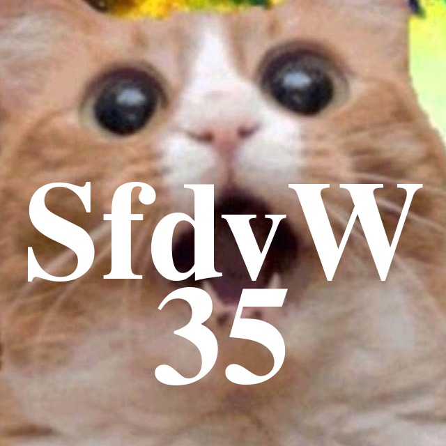 SfdvW - 35 - GPN11 1378km inkl Jingle am Anfang episode artwork