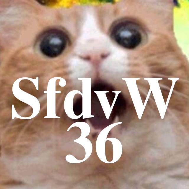 SfdvW - 36 - DRadioWissen Netzreporter Piraten in Berlin episode artwork