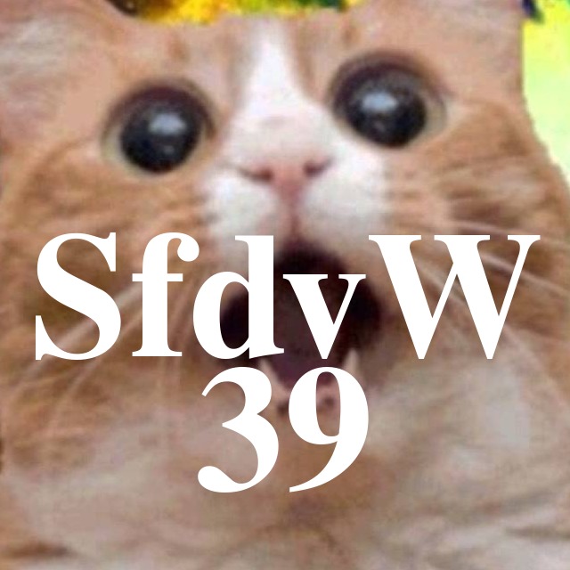 SfdvW - 39 - LAN episode artwork