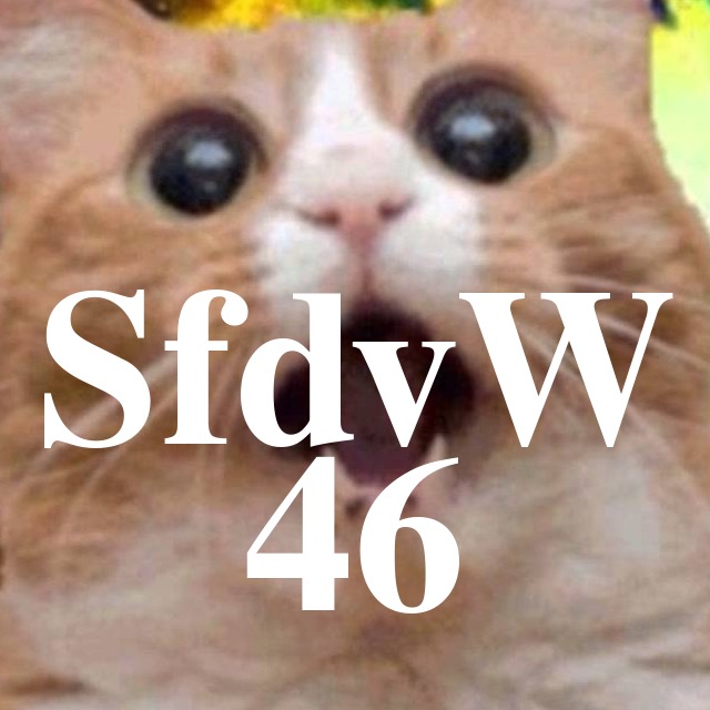 SfdvW - 46 - Radio Wauland WDR episode artwork