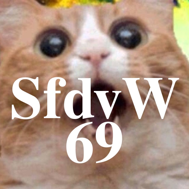 SfdvW - 69 - Computermuseum Halle episode artwork