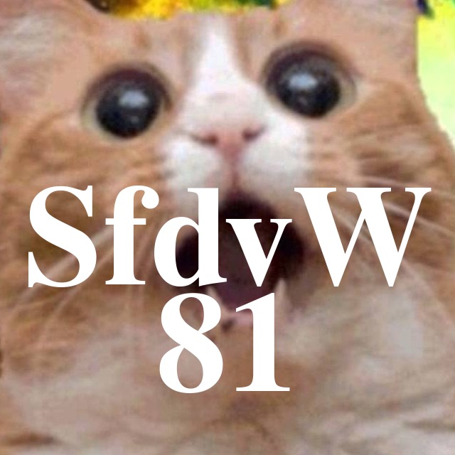 SfdvW - 81 - 35C3 Immer noch nichts zu verbergen und Hebocon episode artwork